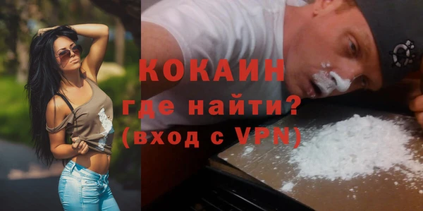 гидра Краснослободск