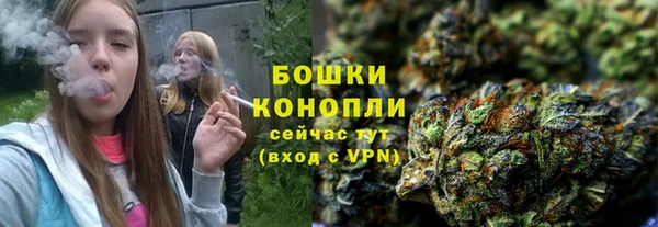 гидра Краснослободск