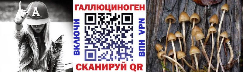 Галлюциногенные грибы MAGIC MUSHROOMS Купить Тобольск